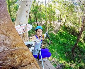 TreeTop Challenge Currumbin - Gold Coast Attractions 3