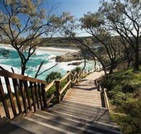 North Gorge Walk - Gold Coast Attractions