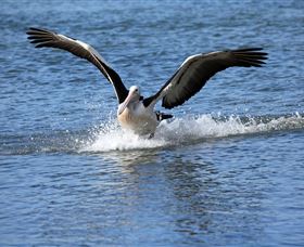 John Barton Photography - Gold Coast Attractions 1