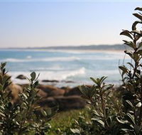 Cape Conran Nature Trail - Gold Coast Attractions