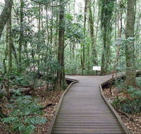 Victoria Park boardwalk - Gold Coast Attractions