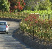 Cassegrain Wines - Gold Coast Attractions