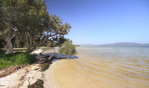 Booti Booti National Park - Gold Coast Attractions 1