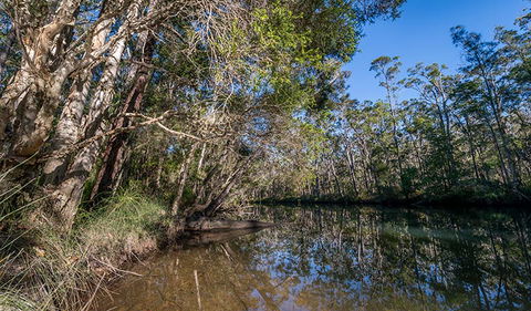 Queens Lake Nature Reserve - Gold Coast Attractions 3