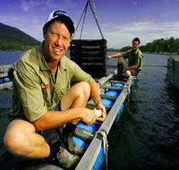 Armstrong Oysters - Gold Coast Attractions