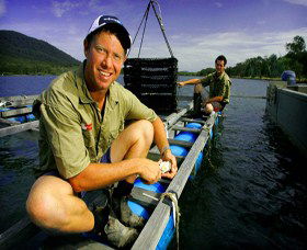 Armstrong Oysters - Gold Coast Attractions 0