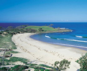 Angourie Beach - Gold Coast Attractions 1