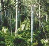 Lind National Park - Gold Coast Attractions