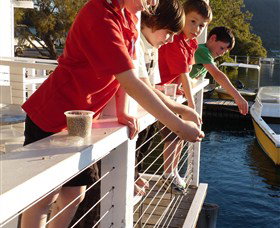 Dunbogan Boatshed - Gold Coast Attractions 3