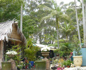 Diamond Waters Garden Nursery - Gold Coast Attractions 0