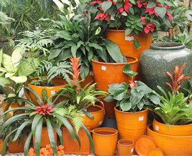 Diamond Waters Garden Nursery - Gold Coast Attractions 1