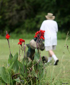 Teven Valley Golf Course - Gold Coast Attractions 3