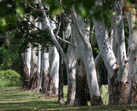 Teven Valley Golf Course - Gold Coast Attractions 1