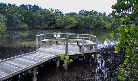Walk On Water Walking Track - Gold Coast Attractions 0