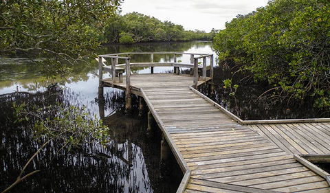 Walk On Water Walking Track - Gold Coast Attractions 1