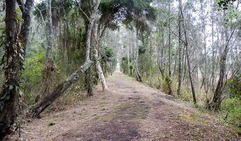 Walk On Water Walking Track - Gold Coast Attractions 2