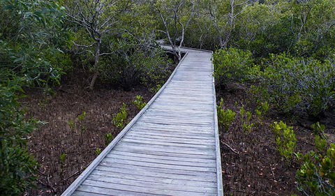 Walk On Water Walking Track - Gold Coast Attractions 3