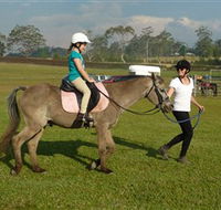 Port Macquarie Horse Riding Centre - Gold Coast Attractions