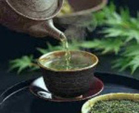 World Par-TEA - Gold Coast Attractions 0