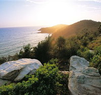 Goanna Headland - Gold Coast Attractions