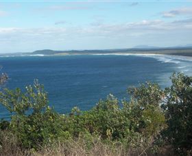 Delicate Beach - Gold Coast Attractions 0