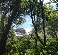 Rainforest walking track - Gold Coast Attractions