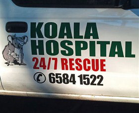 Koala Hospital - Gold Coast Attractions 8