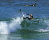 Book Cabarita Beach Accommodation Vacations Gold Coast Attractions Gold Coast Attractions
