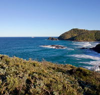 Smoky Cape walking track - Gold Coast Attractions