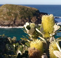 Green Island walking track - Gold Coast Attractions