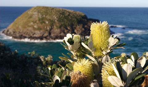 Green Island Walking Track - Gold Coast Attractions 0