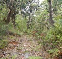 Kinchela Trig Lookout walk - Gold Coast Attractions