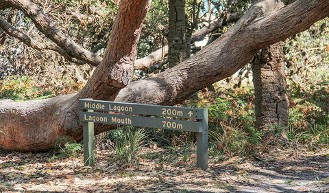 Middle Lagoon Walking Track - Gold Coast Attractions 0