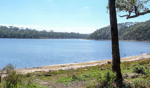 Middle Lagoon Walking Track - Gold Coast Attractions 1
