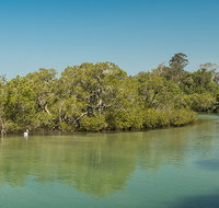 Tyagarah Nature Reserve - Gold Coast Attractions