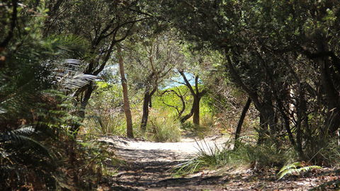 Nelson Beach - Gold Coast Attractions 1