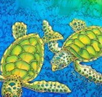 Sea Silks Gallery - Gold Coast Attractions