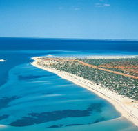 Monkey Mia - Gold Coast Attractions