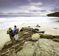 Wilderness Coast Walk - Gold Coast Attractions