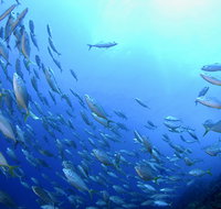 Cape Byron Marine Park - Gold Coast Attractions