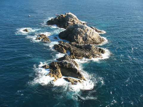 Cape Byron Marine Park - Gold Coast Attractions 1