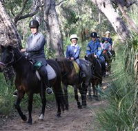 Mirravale Horse Riding School - Gold Coast Attractions