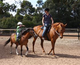 Mirravale Horse Riding School - Gold Coast Attractions 1