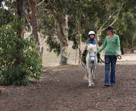 Mirravale Horse Riding School - Gold Coast Attractions 2
