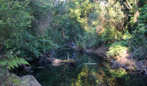 Nadgee Nature Reserve - Gold Coast Attractions 2