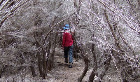 Nadgee Nature Reserve - Gold Coast Attractions 3