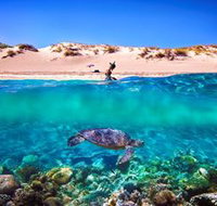 Snorkel the Ningaloo Reef - Gold Coast Attractions
