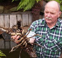 Lobster Ponds - Gold Coast Attractions