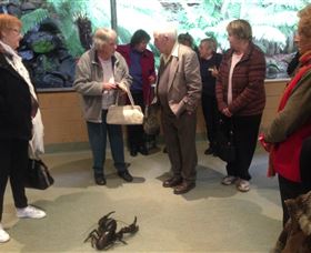 Lobster Ponds - Gold Coast Attractions 1