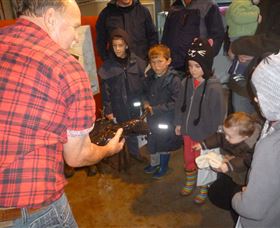 Lobster Ponds - Gold Coast Attractions 3